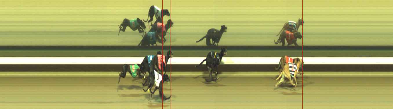 Photo finish for Warragul Race 7