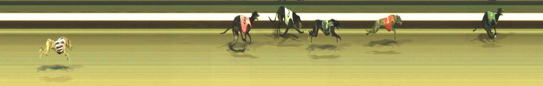 Photo finish for Warragul Race 8