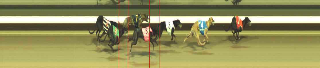 Photo finish for Warragul Race 10