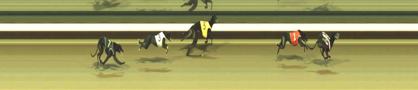 Photo finish for Warragul Race 11