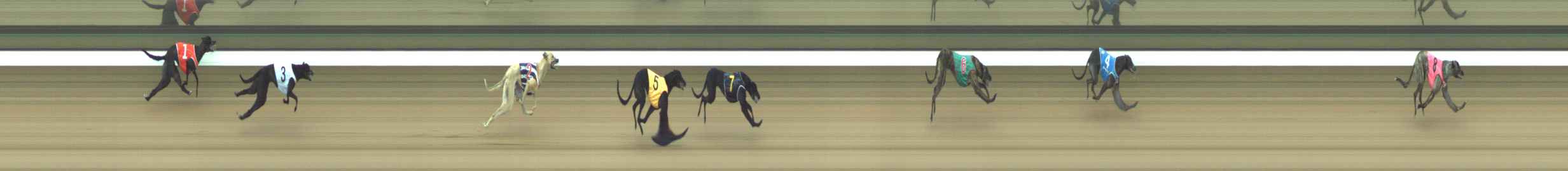 Photo finish for Warragul Race 1