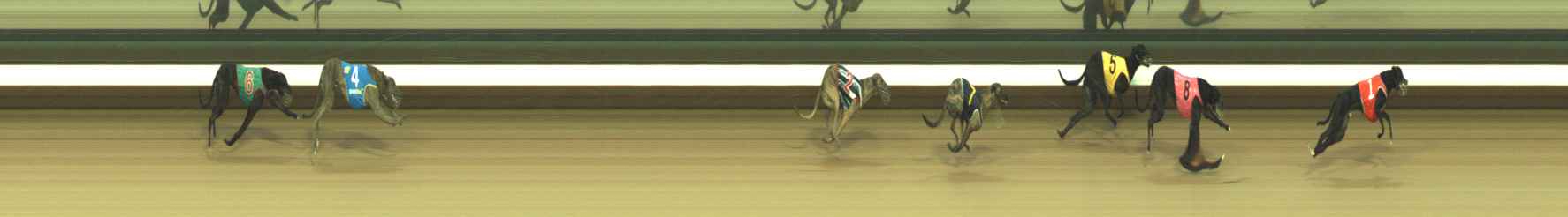 Photo finish for Warragul Race 2