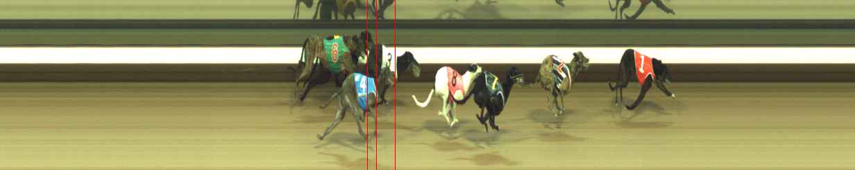 Photo finish for Warragul Race 3