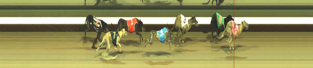 Photo finish for Warragul Race 7