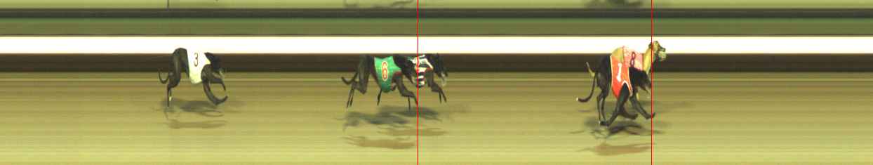 Photo finish for Warragul Race 8