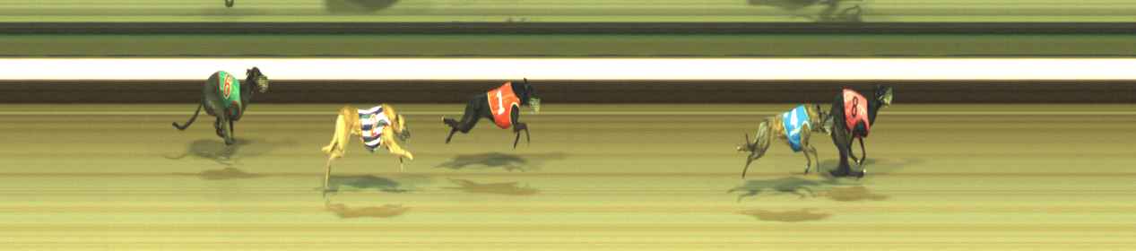 Photo finish for Warragul Race 10