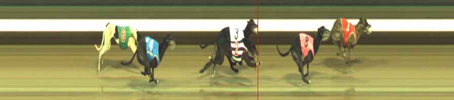 Photo finish for Warragul Race 11