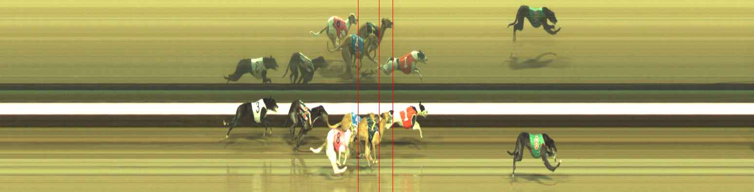 Photo finish for Warragul Race 12