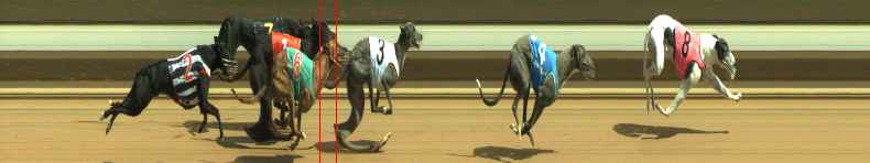 Photo finish for Warragul Race 4