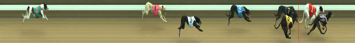 Photo finish for Warragul Race 5