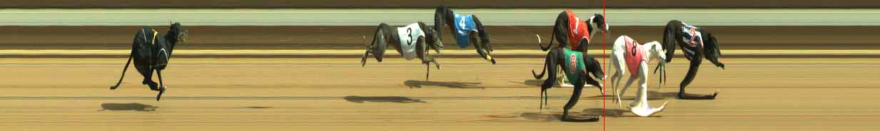 Photo finish for Warragul Race 6