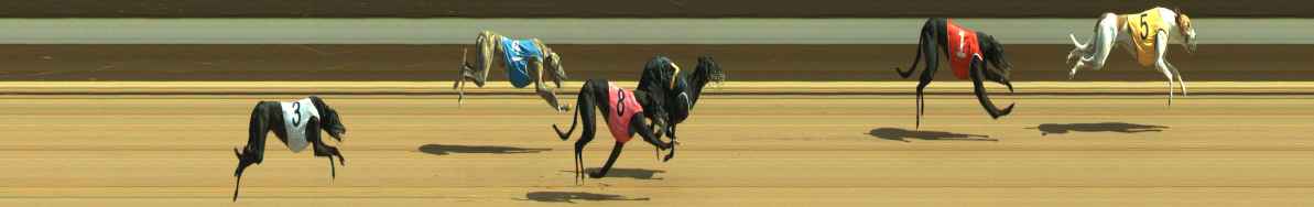 Photo finish for Warragul Race 7