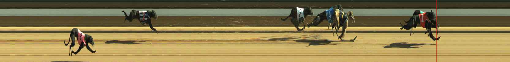 Photo finish for Warragul Race 10