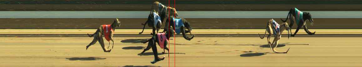 Photo finish for Warragul Race 11