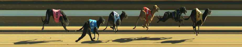 Photo finish for Warragul Race 12