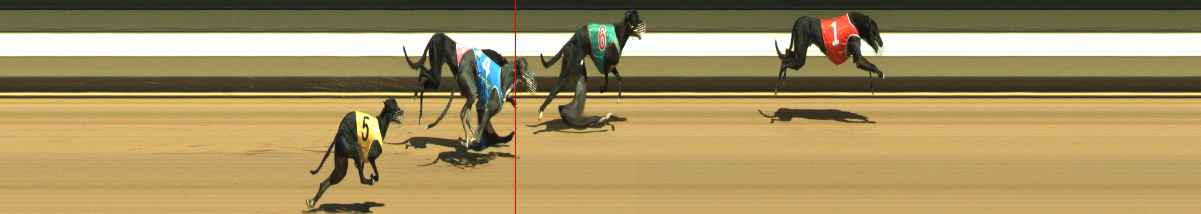 Photo finish for Warragul Race 1