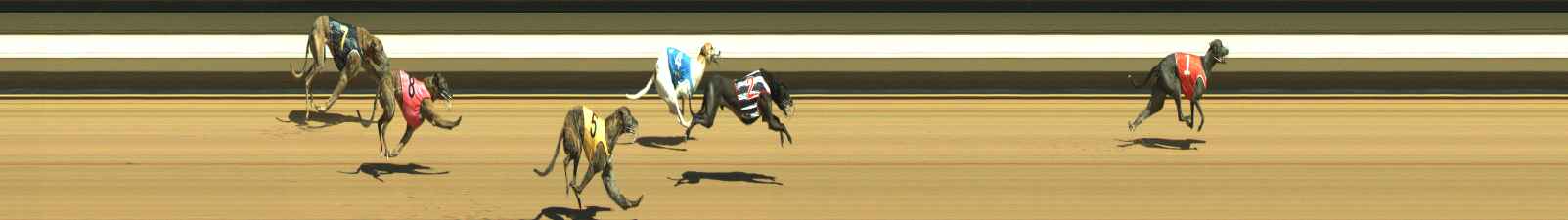 Photo finish for Warragul Race 2