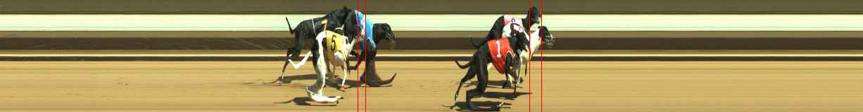 Photo finish for Warragul Race 3