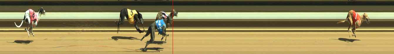 Photo finish for Warragul Race 4