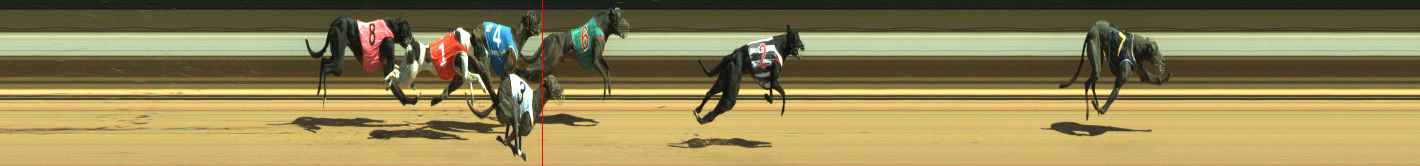 Photo finish for Warragul Race 5