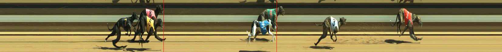 Photo finish for Warragul Race 6
