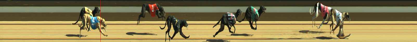 Photo finish for Warragul Race 8