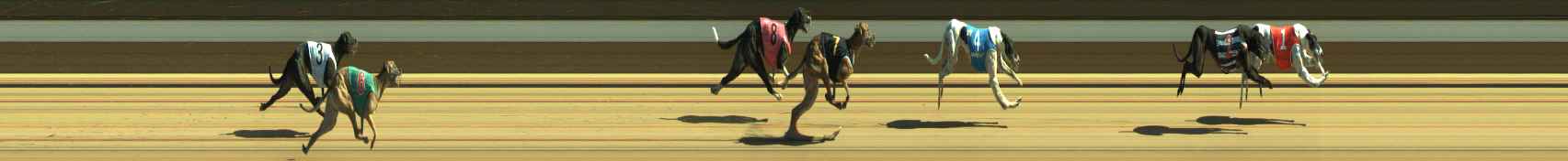 Photo finish for Warragul Race 9
