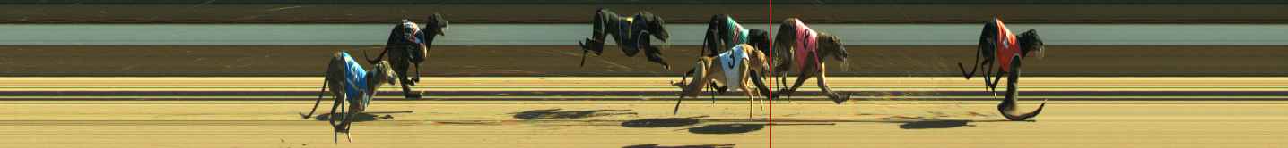 Photo finish for Warragul Race 11
