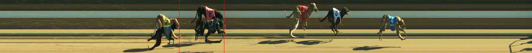 Photo finish for Warragul Race 12