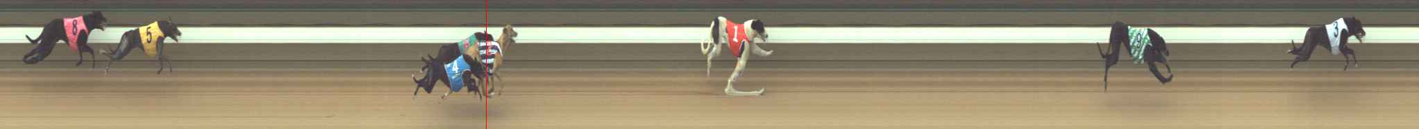 Photo finish for Warragul Race 1