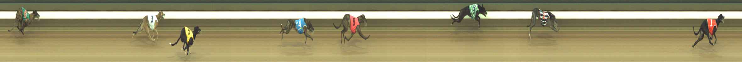 Photo finish for Warragul Race 2