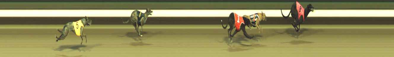 Photo finish for Warragul Race 5