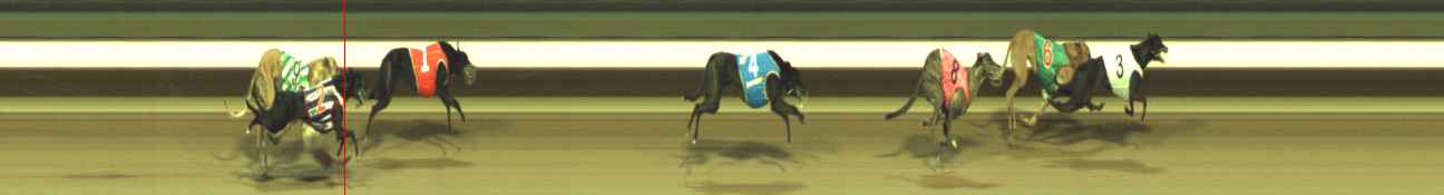 Photo finish for Warragul Race 8