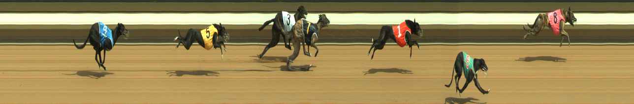 Photo finish for Warragul Race 2