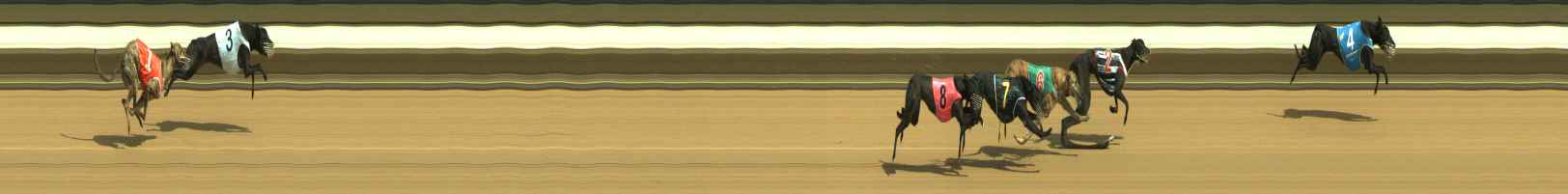 Photo finish for Warragul Race 3