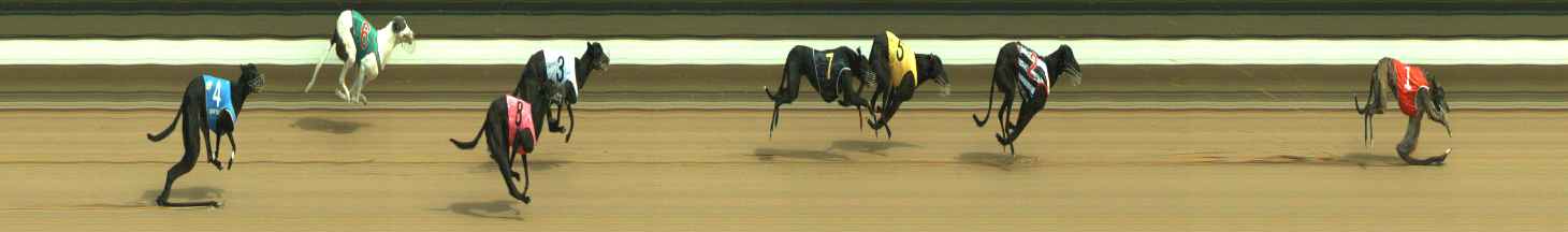 Photo finish for Warragul Race 4