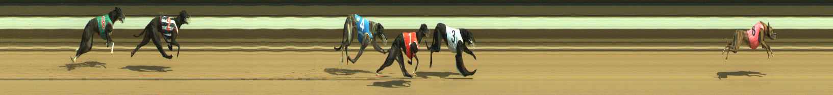 Photo finish for Warragul Race 5