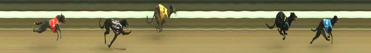 Photo finish for Warragul Race 6