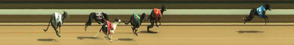 Photo finish for Warragul Race 7