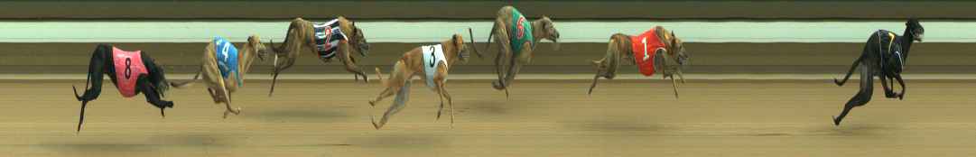 Photo finish for Warragul Race 8