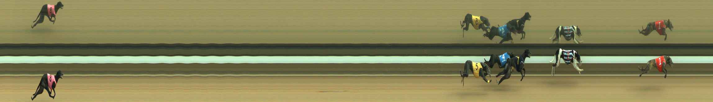 Photo finish for Warragul Race 9
