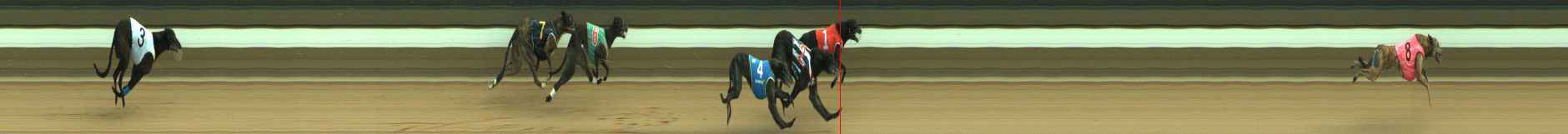 Photo finish for Warragul Race 10