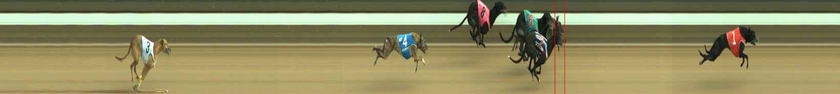 Photo finish for Warragul Race 11
