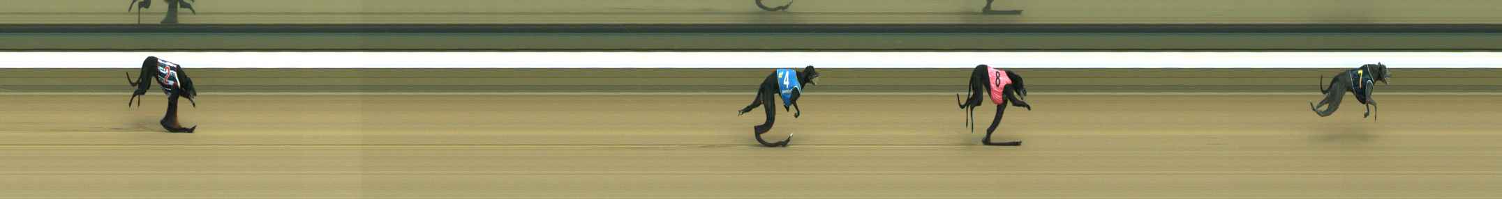 Photo finish for Warragul Race 1