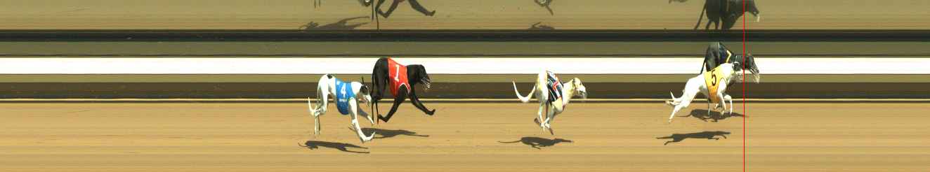 Photo finish for Warragul Race 2