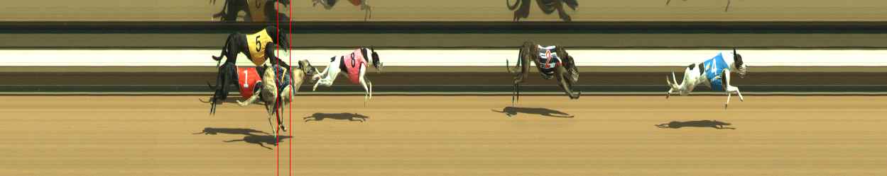 Photo finish for Warragul Race 3