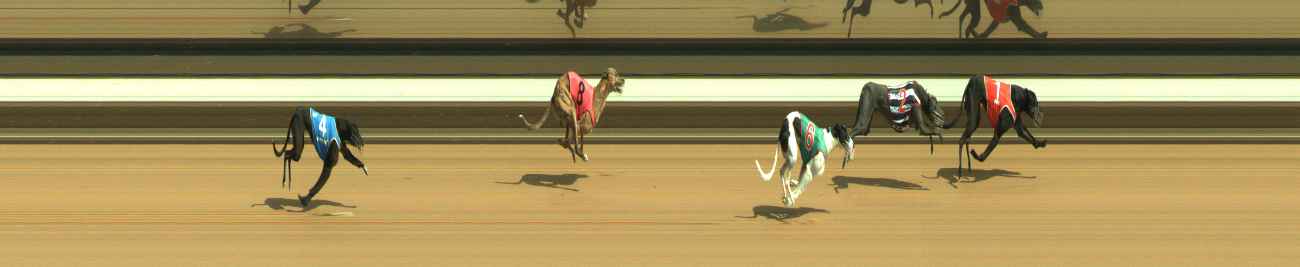Photo finish for Warragul Race 4