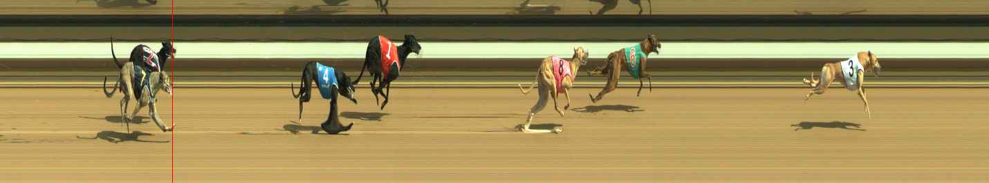 Photo finish for Warragul Race 5