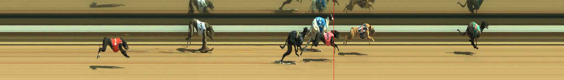 Photo finish for Warragul Race 7
