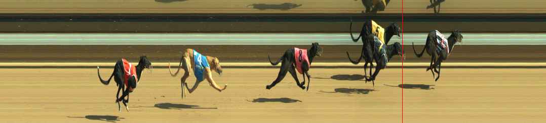 Photo finish for Warragul Race 8